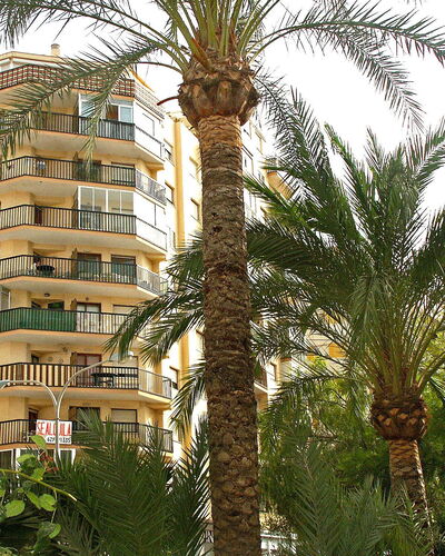 Calpe Calp 390