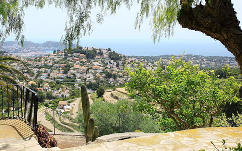 Baile del Sol: Vegetation, Tree, Rock, Formation, Botany, Sky, Plant Community, Plant, Landscape, Adaptation