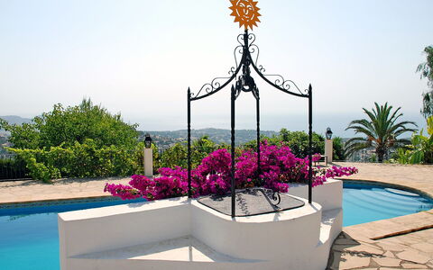 Baile del Sol: Flowerpot, Vacation, Flower, Botany, Plant, Leisure, Tree, Tourism, Houseplant, Garden