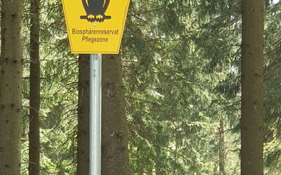 Beerberg
