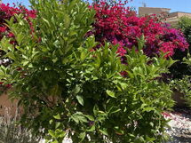 In Sa Ràpita mit Großer Terrasse