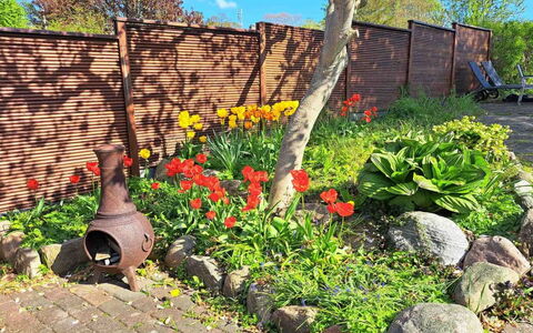 Noreen - 500M from the Sea: Flower, Garden, Shrub, Groundcover, Backyard, Spring, Landscaping, Yard, Herbaceous Plant