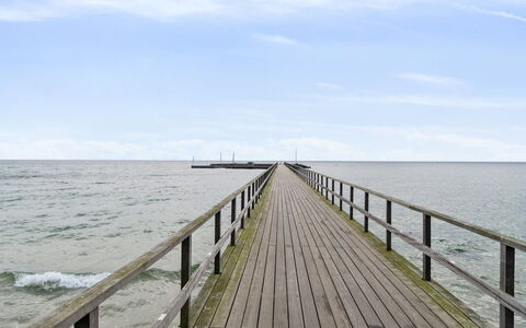 Selinda - 250M from the Sea: Tableware, Serveware, Cup, Coffee Cup, Drinkware, Teapot, Food, Dishware, Teacup, Porcelain