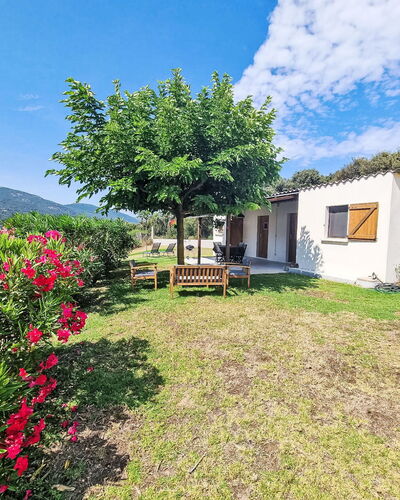 Calcatoggio 600: Shrub, Rural Area, Cottage, Garden, Village, Farmhouse