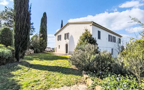 Il Palazzo: Sky, Blue, Shrub, Estate, Farmhouse, Landscaping, Evergreen