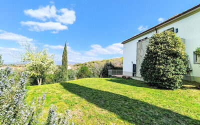 Scansano 618: Garden, Lawn, Landscaping