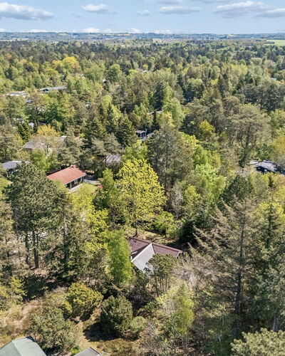 Elfrede - 900M from the Sea