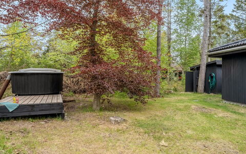 Felippa - from the Sea: Grass, Wood, Rural Area, Shrub, Cottage, Roof, Plain, Land Lot, Home, Groundcover