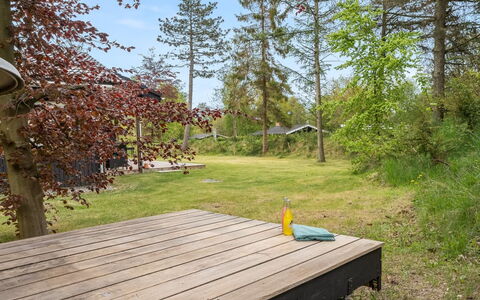 Felippa - from the Sea: Grass, Wood, Rural Area, Shrub, Cottage, Roof, Plain, Land Lot, Home, Groundcover