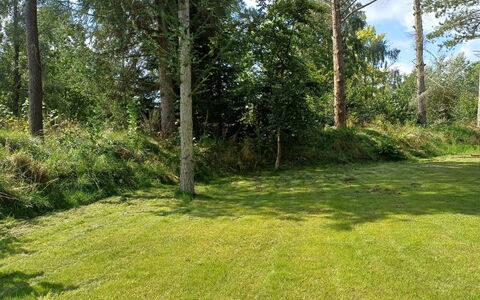 Felippa - from the Sea: Green, Tree, Grass, Leaf, Vegetation, Shrub, Grassland, Plant Community, Land Lot