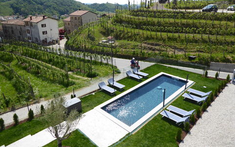 Villa Valdobbiadene Pool Spa: Urban Design, Garden, Yard, Swimming Pool, Landscaping, Agriculture, Plantation, Bird'S-Eye View, Backyard, Villa