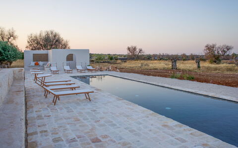 Terracorte Villa: Composite Material, Swimming Pool, Reflection, Reflecting Pool, Water Feature, Outdoor Furniture