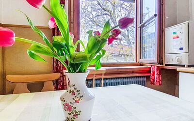 Accommodation:&nbsp;Wieshammer 12.1