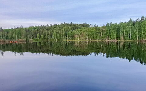 Murtolampi: Water Resources, Water, Body Of Water, Nature, Natural Environment, Waterway, Natural Landscape, Bank, Watercourse, Forest