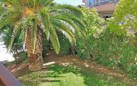 L'Iris: Garden, Woody Plant, Landscaping, Yard, Botanical Garden, Backyard