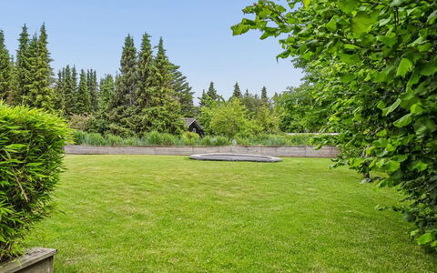 Galatia - 1.4Km from the Sea: Tree, Grass, Green, Shrub, Garden, Landscape, Land Lot, Lawn, Groundcover