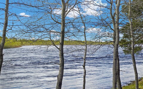 Luongasloma 3: Blue, Water, Water Resources, Body Of Water, Nature, Branch, Wood, Natural Landscape, Waterway, Bank