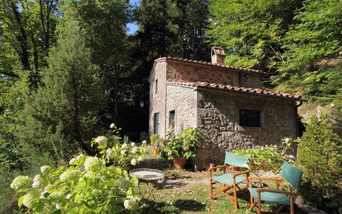 Il Gallinaio, Vivo D'Orcia: Shrub, House, Cottage, Home, Spring, Groundcover, Garden, Landscaping, Farmhouse