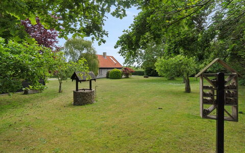 Siegfried - 100M from the Sea: Grass, Grassland, Land Lot, Cottage, Rural Area, Meadow, Garden Buildings, Garden, Shed