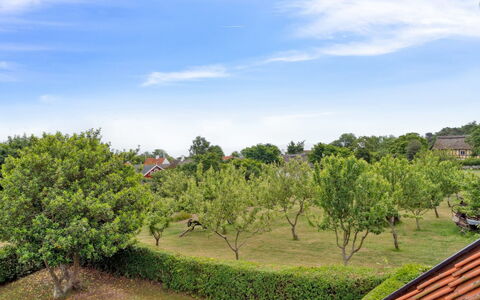 Siegfried - 100M from the Sea: Tree, Leaf, Vegetation, Shrub, Garden, Spring, Woody Plant, Sunlight, Plantation, Lawn