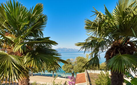Lui: Blue, Tree, Leaf, Vegetation, Tropics, Shade, Coast, Eco Hotel