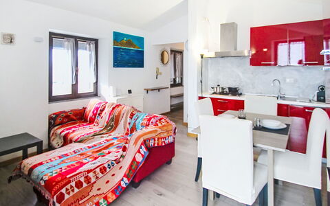 Amarena: Furniture, Home, Apartment, Chair, Resort, Hotel, Balcony, Houseplant, Pillow