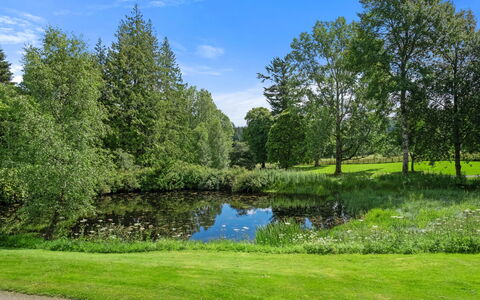 Old Stable on Aigas Golf Course: Green, Tree, Natural Environment, Nature, Natural Landscape, Shrub, Landscape, Garden, Bank, Pond