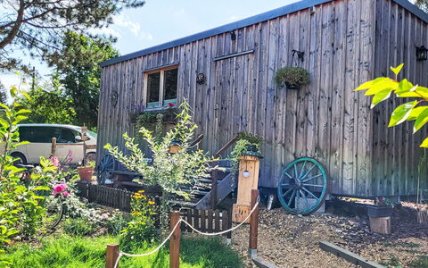 Tiny House Cottage Herbert: Wood, Cottage, Shed, Garden Buildings, Door, Siding, Hardwood, Wood Stain, Log Cabin, Garden