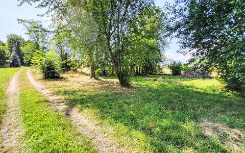 Tiny House Cottage Herbert: Green, Grass, Leaf, Tree, Vegetation, Natural Landscape, Summer, Shrub, Grassland, Plain