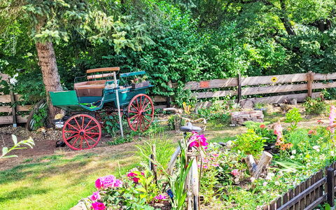 Tiny House Cottage Herbert: Flower, Garden, Shrub, Spring, Groundcover, Backyard, Landscaping, Yard, Floristry