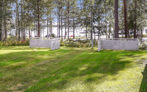 Kulta-Käkönen 6 by Bomba: Grass, Shrub, Land Lot, Groundcover, Garden, Lawn, Shade, Landscaping, Grove, Park