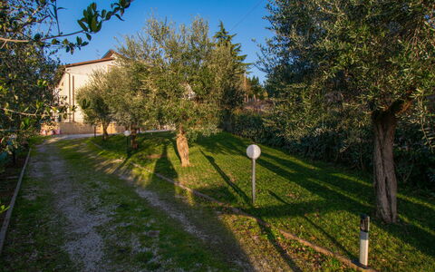 Tre Fontane: Grass, Leaf, Branch, Shrub, Garden, Sunlight, Twig, Morning, Lawn, Landscaping