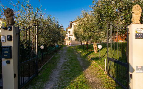 Tre Fontane: Fence, Garden, Gate, Estate, Home Fencing, Yard, Landscaping, Backyard