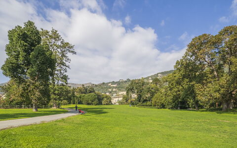 Focaincontromano Seaview, Genova: Green, Grass, Tree, Nature, Natural Environment, Vegetation, Natural Landscape, Grassland, Landscape, Plain