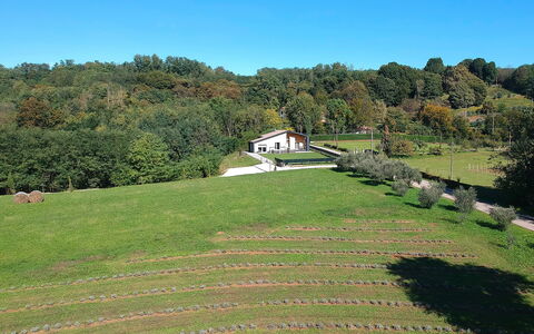 Villa Dolce Bosco with Pool, Valdobbiadene: Tree, Grass, Plain, Landscape, Grassland, Shrub, Rural Area, Land Lot, Groundcover