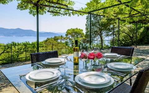 Portofino: Furniture, Table, Chair, Kitchen & Dining Room Table, Outdoor Table, Restaurant, Outdoor Furniture, Shade, Resort, Garden
