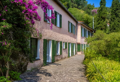 Portofino: Shrub, Spring, Garden, Walkway