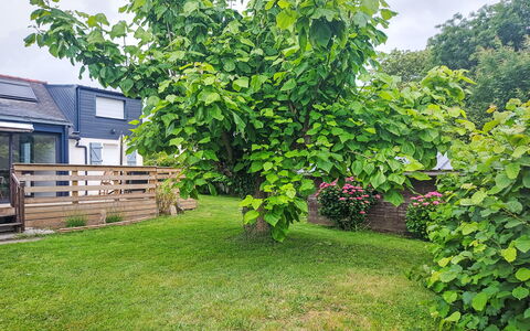 Maison de Kergoff: Leaf, Woody Plant, Garden, Lawn, Backyard, Yard, Shade, Landscaping