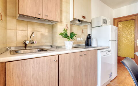 Accommodation:&nbsp;Centro Peatonal Roses 713.3