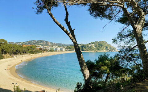 Odisea: Blue, Body Of Water, Tree, Coast, Natural Environment, Beach, Coastal And Oceanic Landforms, Shore, Bank, Sea