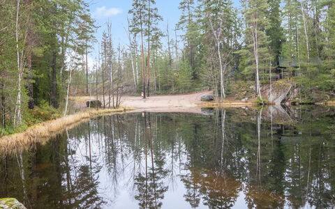 Korpilammenhuvilat 7A: Water Resources, Water, Body Of Water, Tree, Nature, Natural Environment, Natural Landscape, Bank, Forest