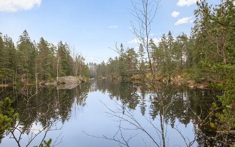 Korpilammenhuvilat 7A: Water, Water Resources, Nature, Tree, Natural Environment, Natural Landscape, Reflection, Forest, Wilderness, Bank