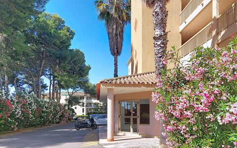 Palmier: Residential Area, Apartment, Neighbourhood, Condominium, Home, Estate, Balcony, Suburb, Shade, Hacienda