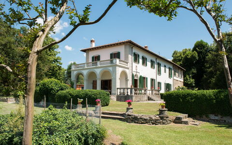 Martini: Shrub, Estate, Hacienda, Mansion, Lawn, Farmhouse, Garden, Villa, Yard, Landscaping