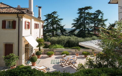 Galero: House, Home, Shrub, Residential Area, Garden, Estate, Hacienda, Balcony, Landscaping, Yard