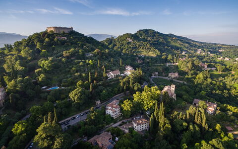 Galero: Tree, Nature, Mountainous Landforms, Vegetation, Hill, Mountain, Highland, Landscape, Hill Station, Rural Area