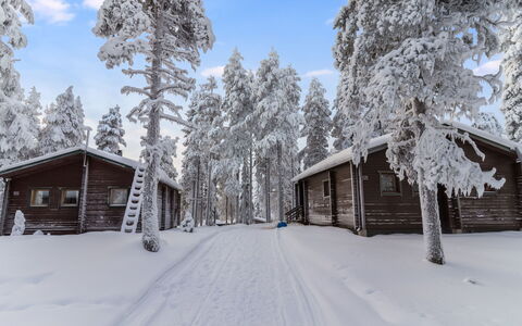 Kelokaltiokylä Mökki 58: Snow, Winter, Tree, Branch, Wood, Cottage, House, Home, Freezing, Log Cabin