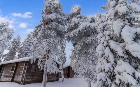 Kelokaltiokylä Mökki 58: Snow, Winter, Tree, Branch, Wood, Cottage, Landscape, House, Freezing, Home