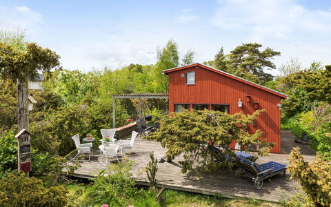 Ringenäs: Shrub, Cottage, House, Land Lot, Home, Garden, Rural Area, Groundcover, Spring