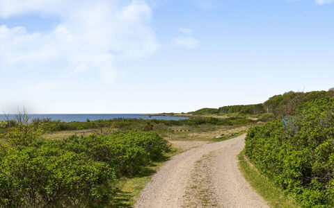 Ringenäs: Sky, Blue, Green, Vegetation, Horizon, Natural Landscape, Ecoregion, Road, Summer, Grassland